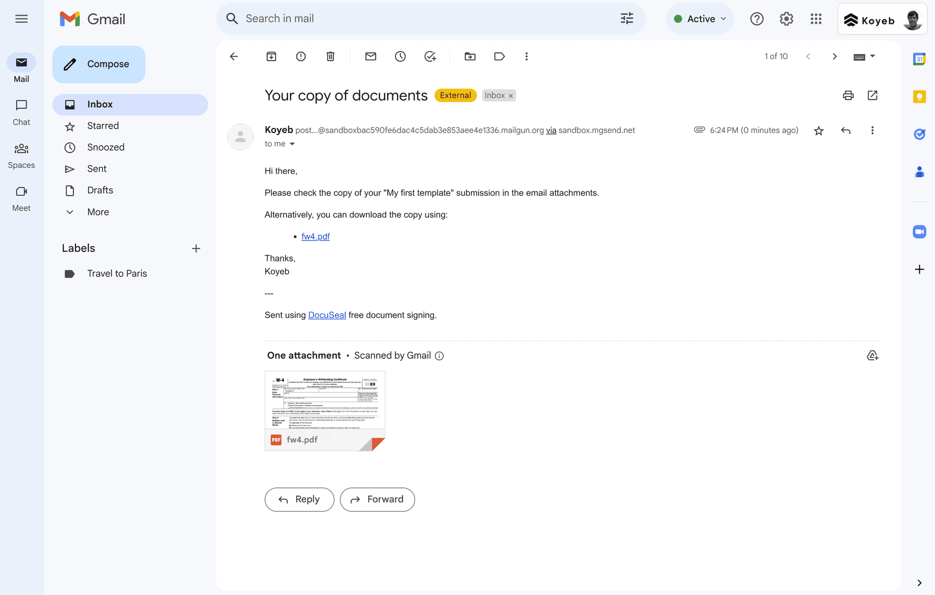 DocuSeal successful email